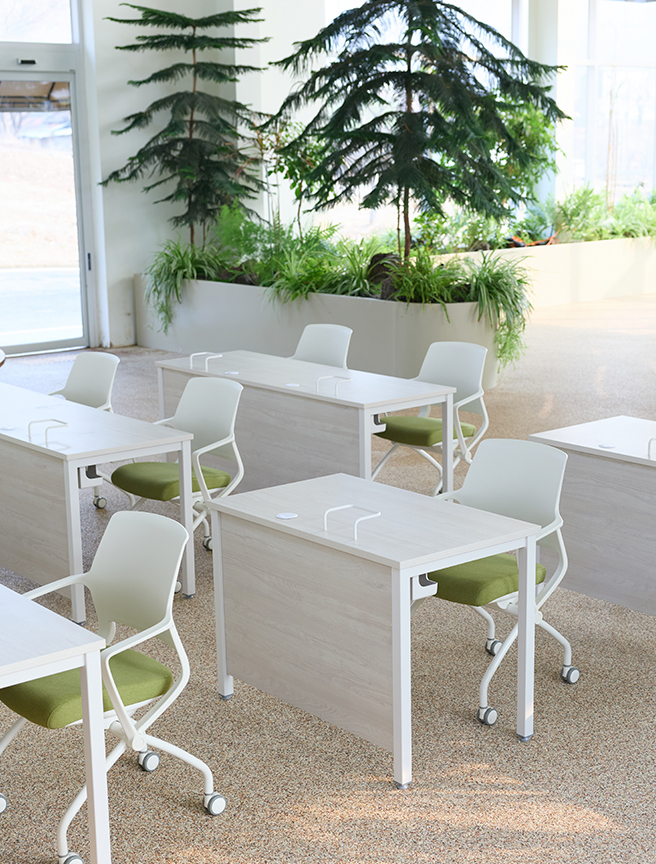 EASY MANAGEMENT SYSTEM